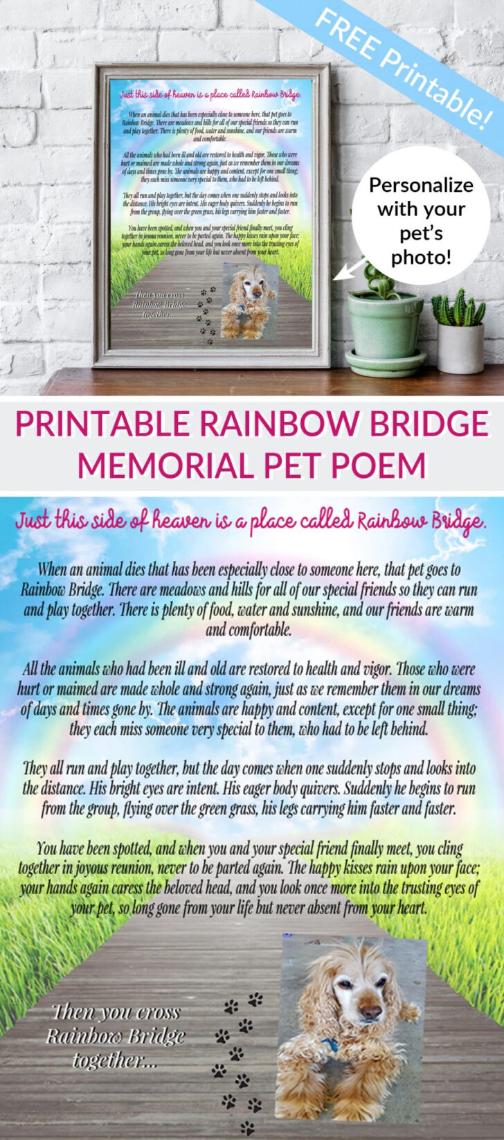 Free Printable Rainbow Bridge Poem Printable