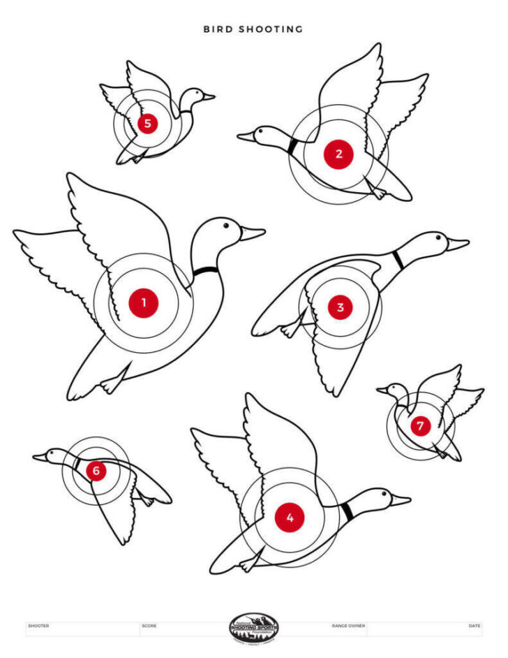 Free Printable Targets For Shooting