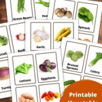 Printable Vegetable Flashcards   Nature Inspired Learning Throughout Free Printable Vegetable Label