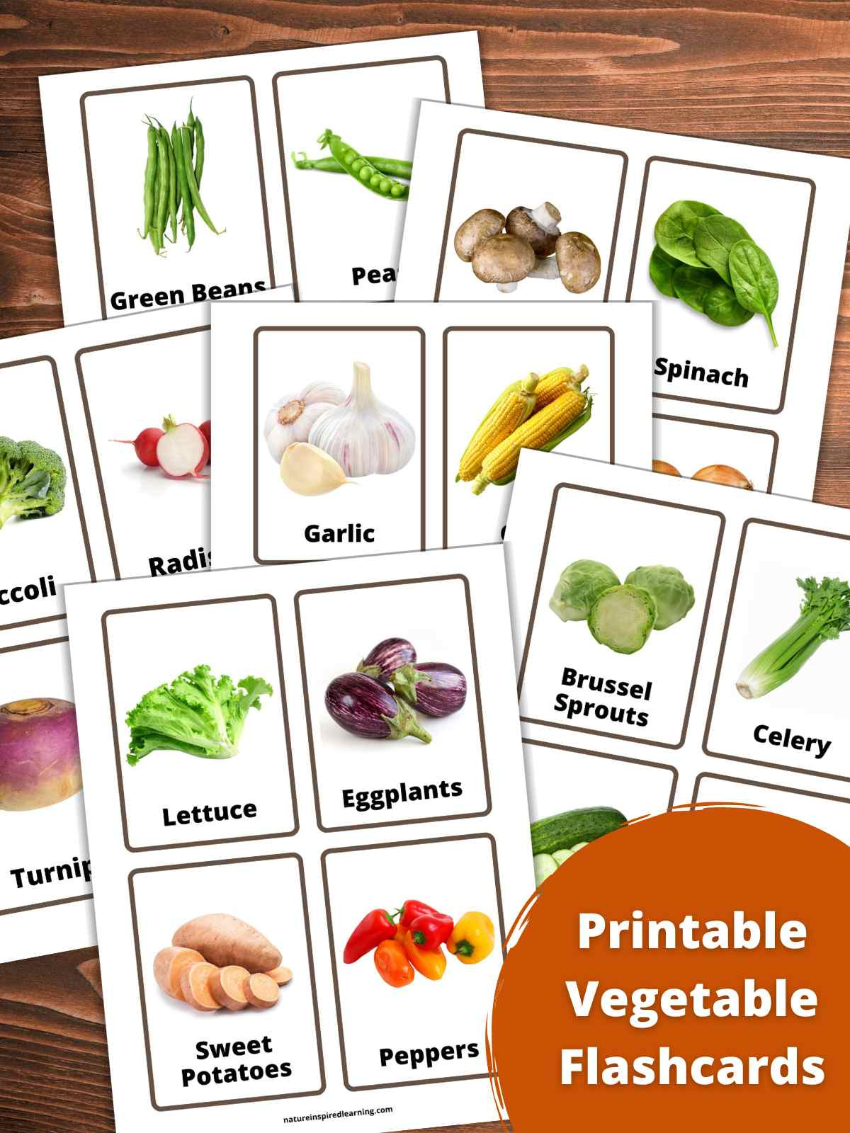 Printable Vegetable Flashcards - Nature Inspired Learning throughout Free Printable Vegetable Label