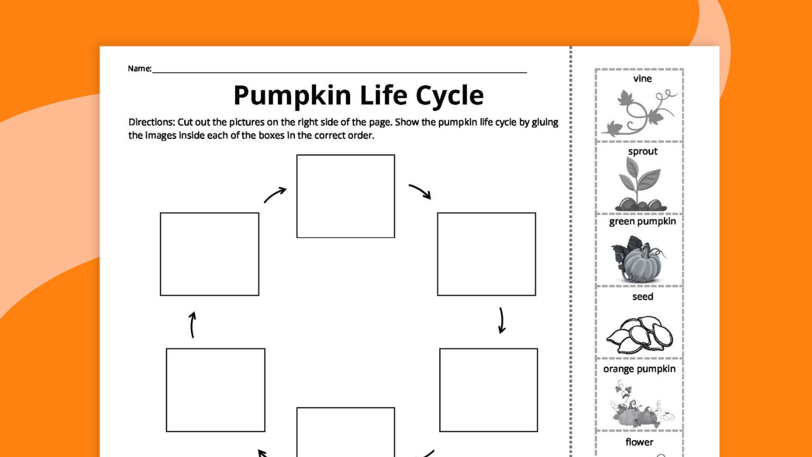 Pumpkin Life Cycle Worksheets For Kids (Free Printables) in Free Printable Pumpkin Life Cycle Worksheet