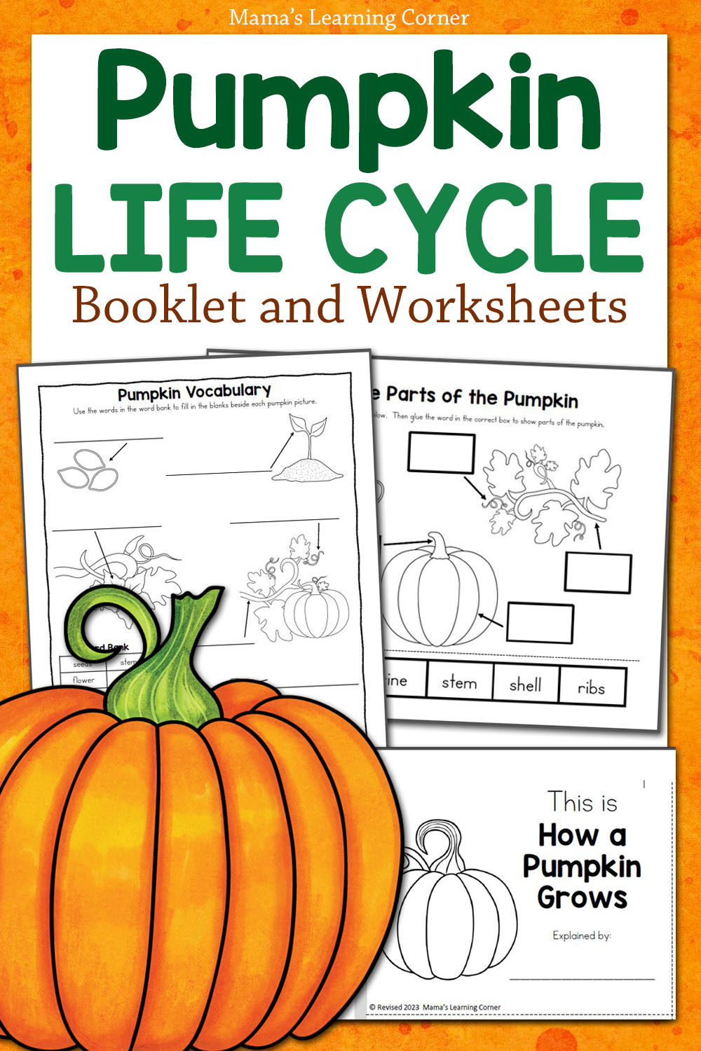 Pumpkin Life Cycle Worksheets - Mamas Learning Corner with Free Printable Pumpkin Life Cycle Worksheet