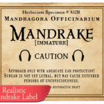 Realistic Mandrake Label, Printable Sticker Prop Potter Herbology Within Printable Mandrake Harry Potter Label
