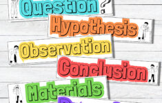 Science Fair Labels Printable Science Project Label School Project throughout Printable Science Fair Project Labels