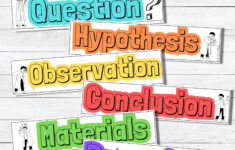 Science Fair Labels Printable Science Project Label School Project with Science Fair Project Labels Printable