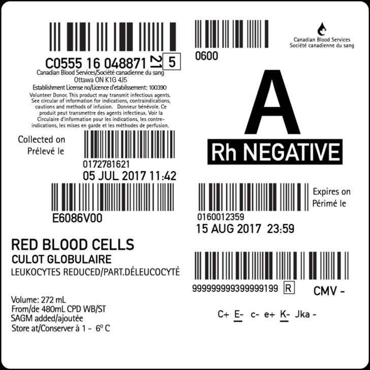 Printable Blood Bag Label Template