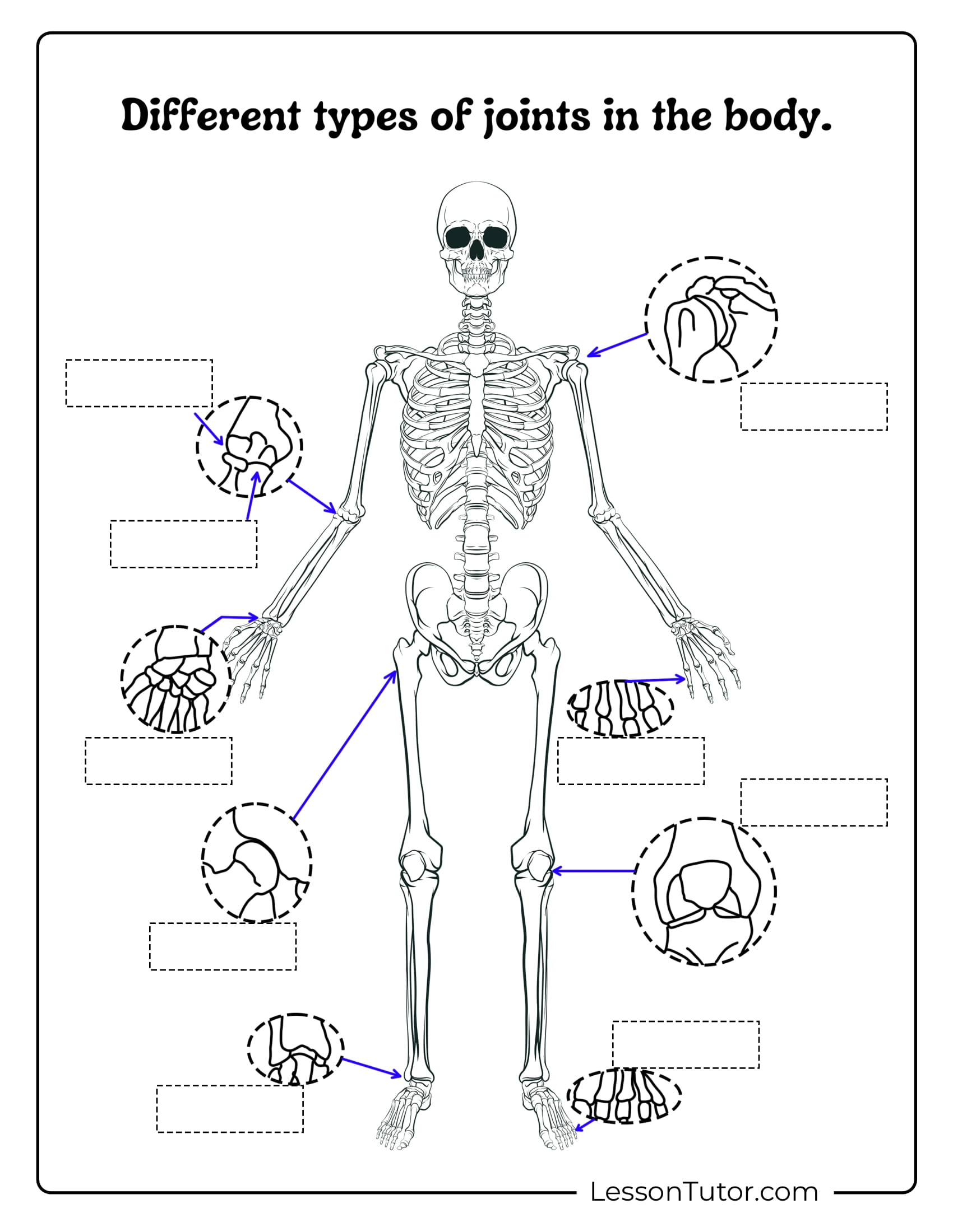 Skeleton System Worksheets - Free Coloring Pages, Pdf Printables for Printable Skeleton To Label Joints