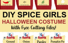 Spice Girls Group Halloween Costume Free Svg with regard to Printable Mccormick Spice Labels For Costumes