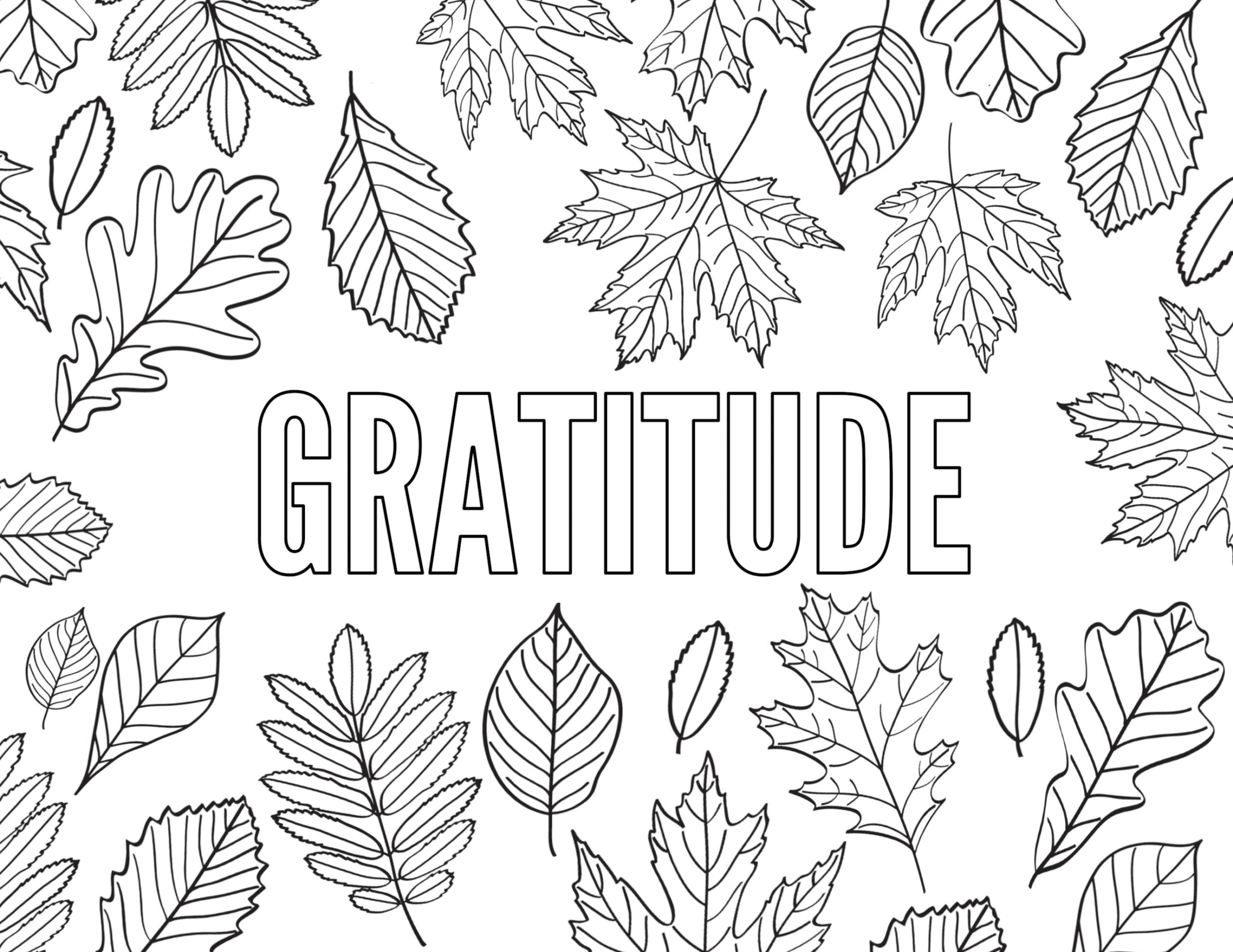 Thanksgiving Coloring Pages {Free Printable} - Paper Trail Design for Free Printable Adult Thanksgiving Coloring Pages
