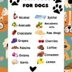 Toxic Foods For Dogs Printable Within Free Printable List Of Toxic Foods For Dogs