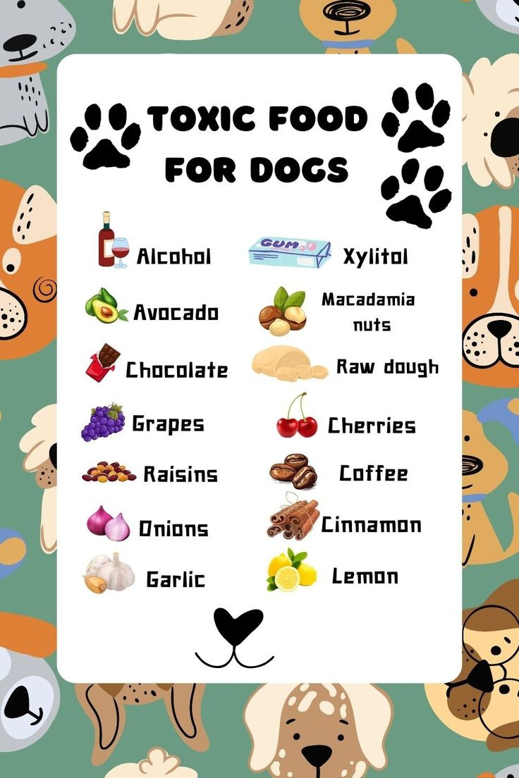 Toxic Foods For Dogs Printable within Free Printable List of Toxic Foods For Dogs