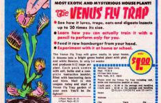 Vintage Print Advertising The Venus Fly Trap Insect Eatermail with Venus Return Label Printable