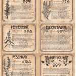 Witch Herb Labels Printable 6 Herbs Set 2   Etsy Throughout Venus Return Label Printable