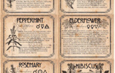 Witch Herb Labels Printable 6 Herbs Set 2 - Etsy throughout Venus Return Label Printable
