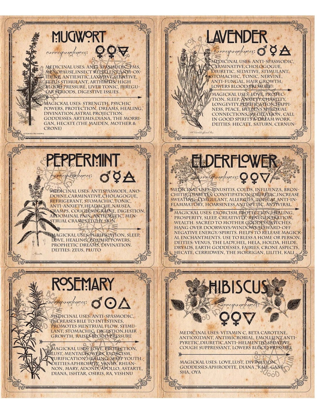 Witch Herb Labels Printable 6 Herbs Set 2 - Etsy throughout Venus Return Label Printable